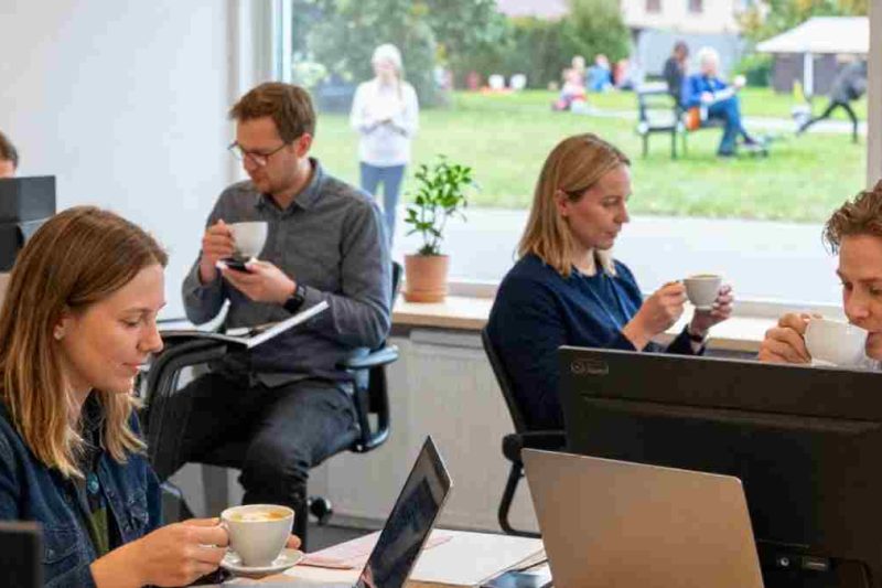 Werk-privébalans en werkcultuur in Zweden. (3)