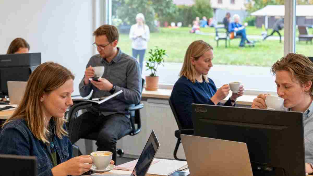 Werk-privébalans en werkcultuur in Zweden. (3)