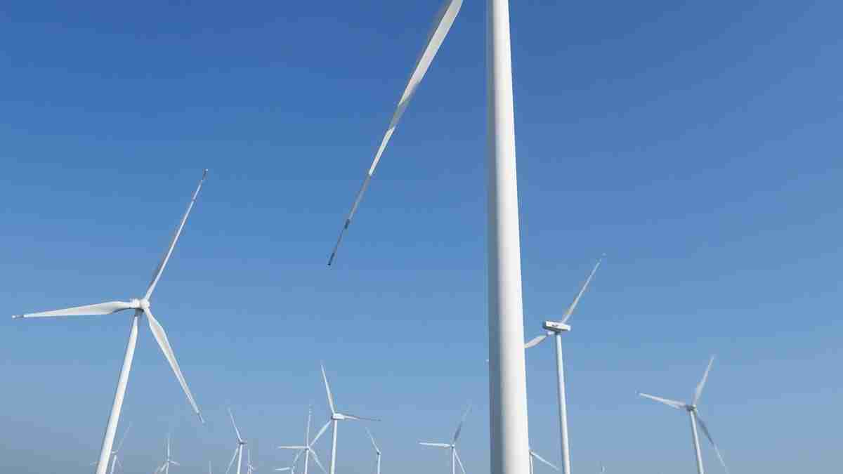 Dit compensatieproces legt de nadruk op natuurgebaseerde oplossingen, zoals het beschermen en uitbreiden van bossen, die een deel van de CO2-uitstoot absorberen.