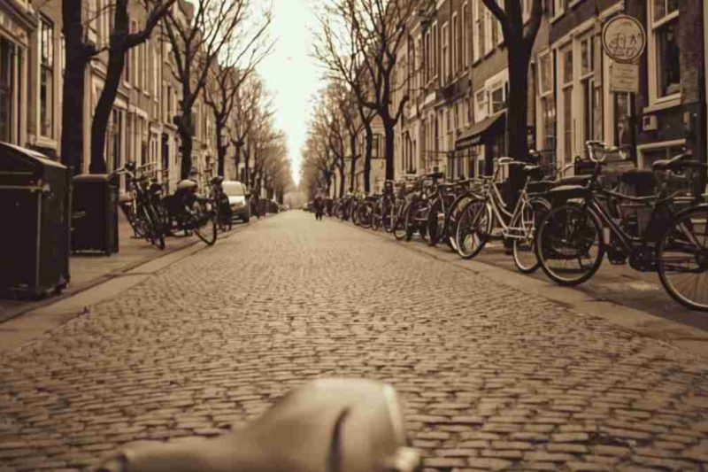 Fietswortels Stedelijke cultuur in Nederland (3)