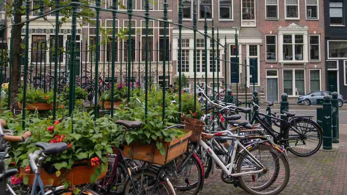 Het fietsvriendelijke beleid en de investeringen in infrastructuur in Nederland zorgen voor het voortbestaan ​​en de versterking van deze cultuur.